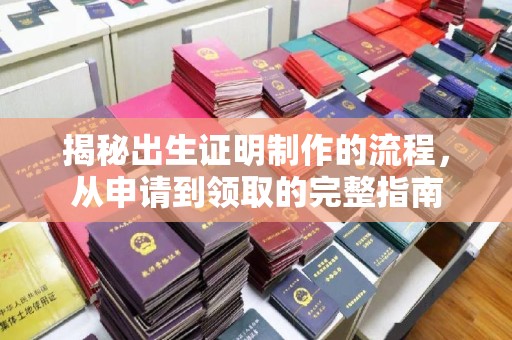 白沙揭秘出生证明制作的流程，从申请到领取的完整指南