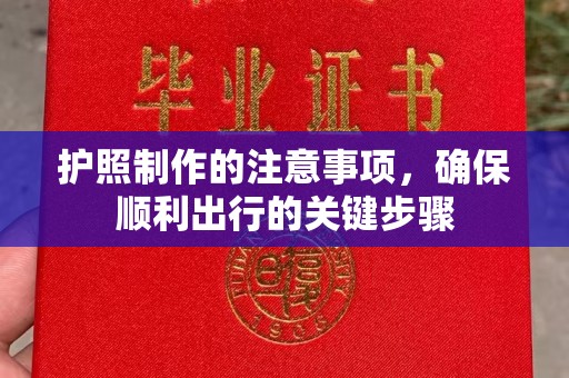 大关护照制作的注意事项，确保顺利出行的关键步骤